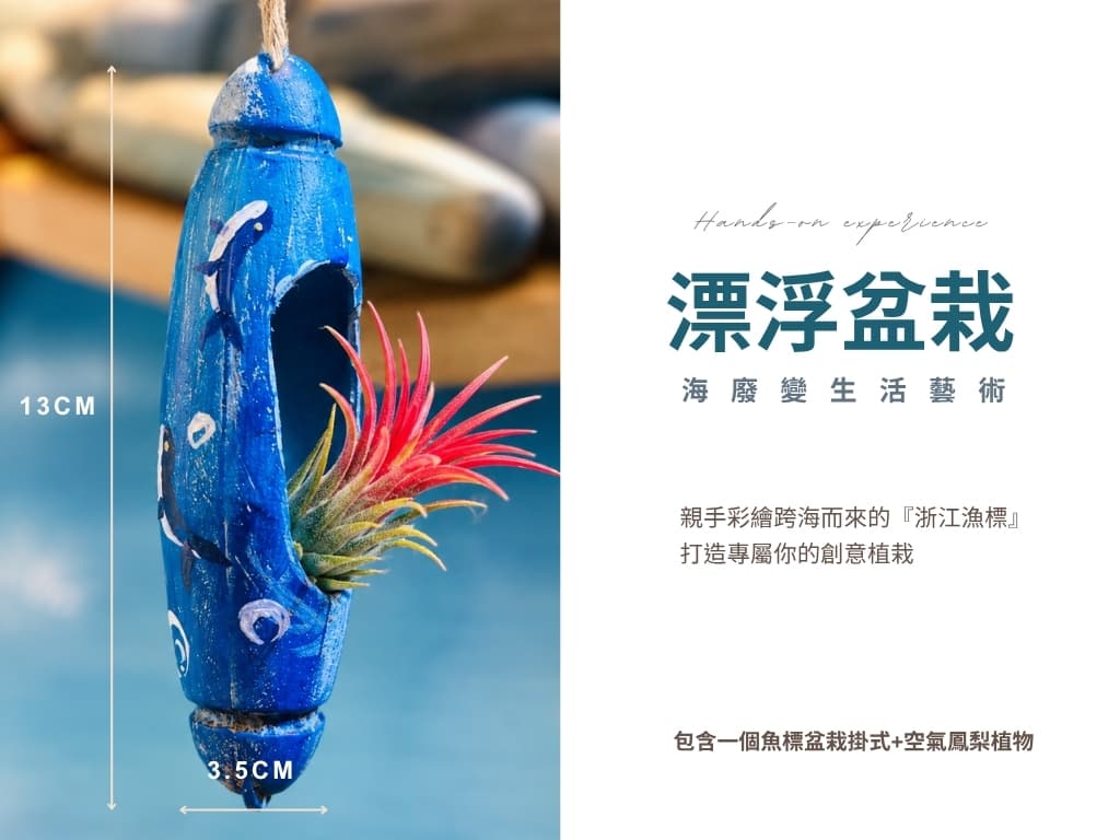 彩繪藍色浙江漁標掛式盆栽，內植空氣鳳梨