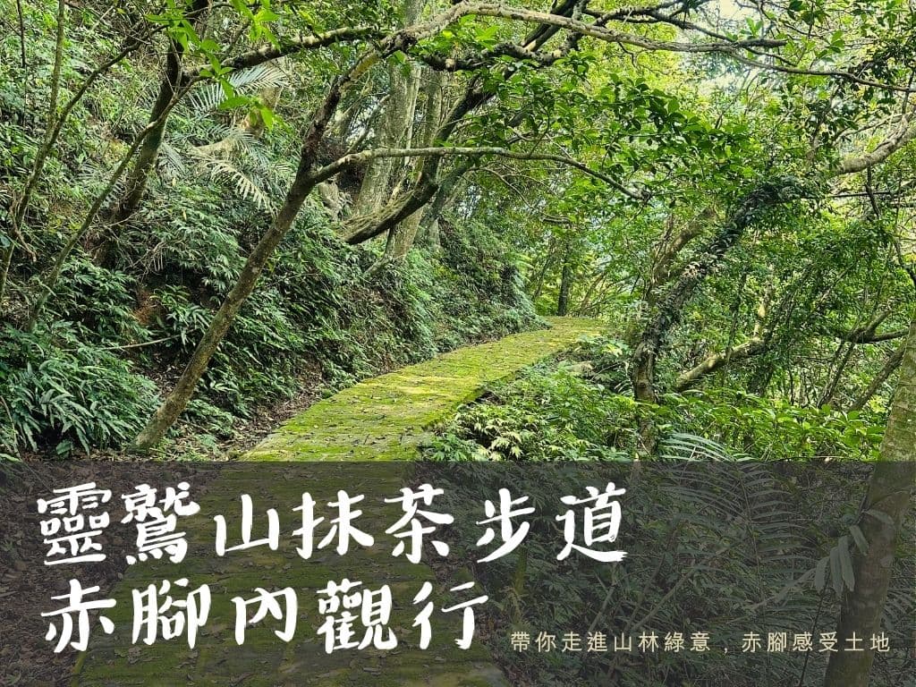 靈鷲山抹茶步道赤腳內觀行